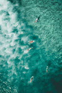 image of the blue water with 5 surfers on surfboards