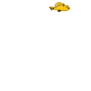 yellow fish graphic